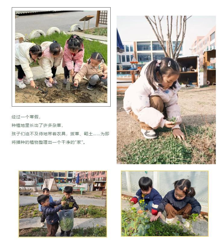 f9b303ed14944db79c7b7655721b68ba.png